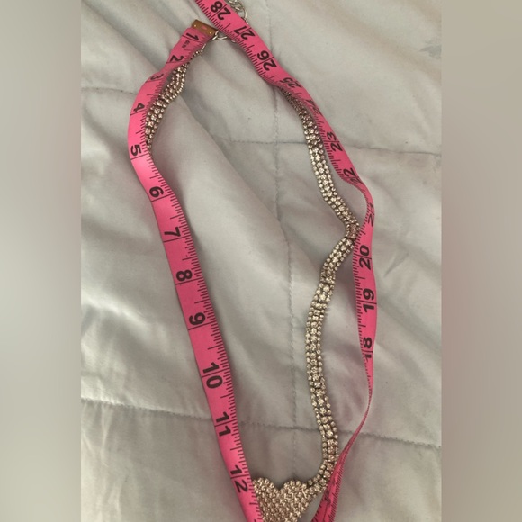 Chain Belt - Picture 5 of 7